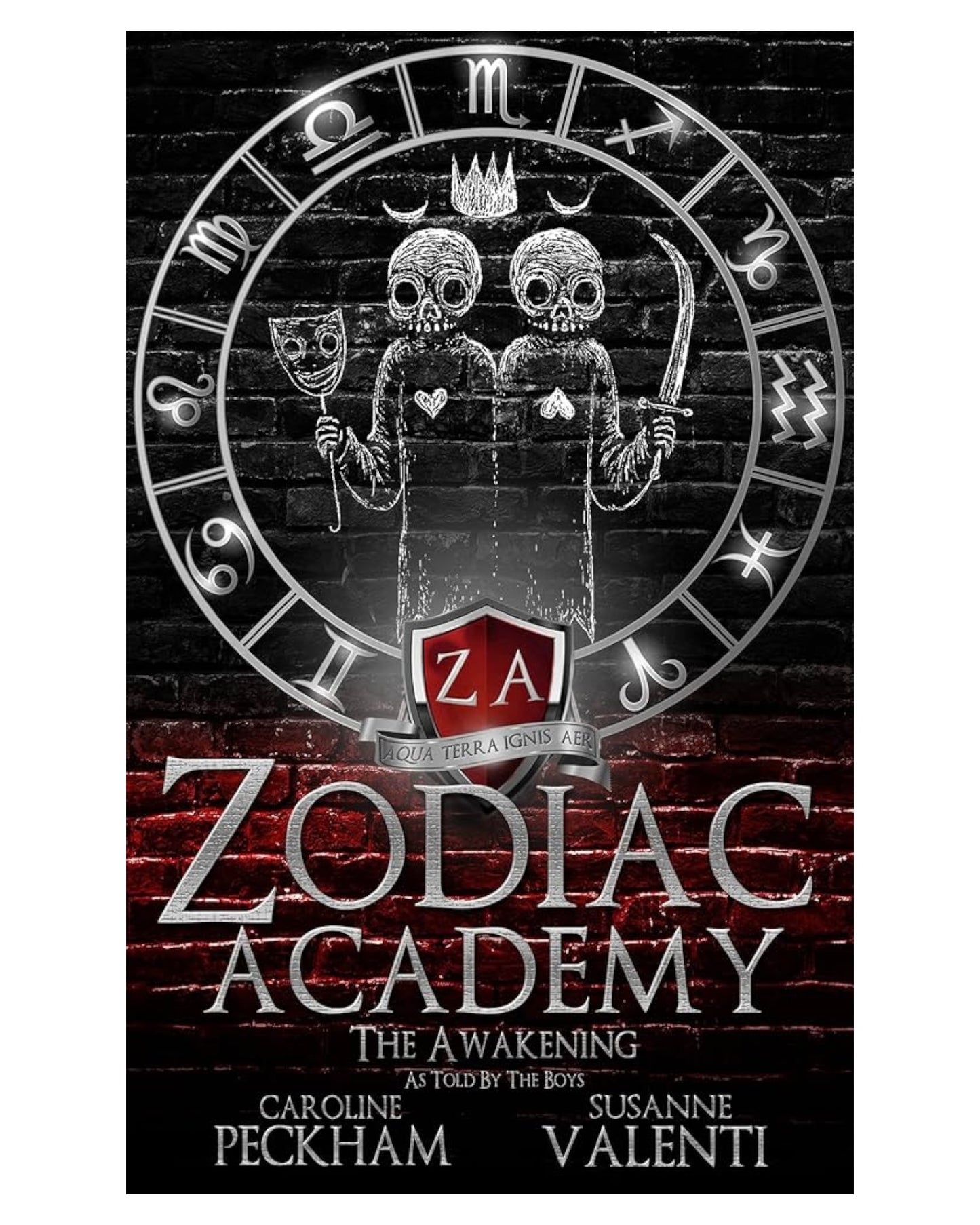 Zodiac Academy 1.5: The Awakening as Told by the Boys