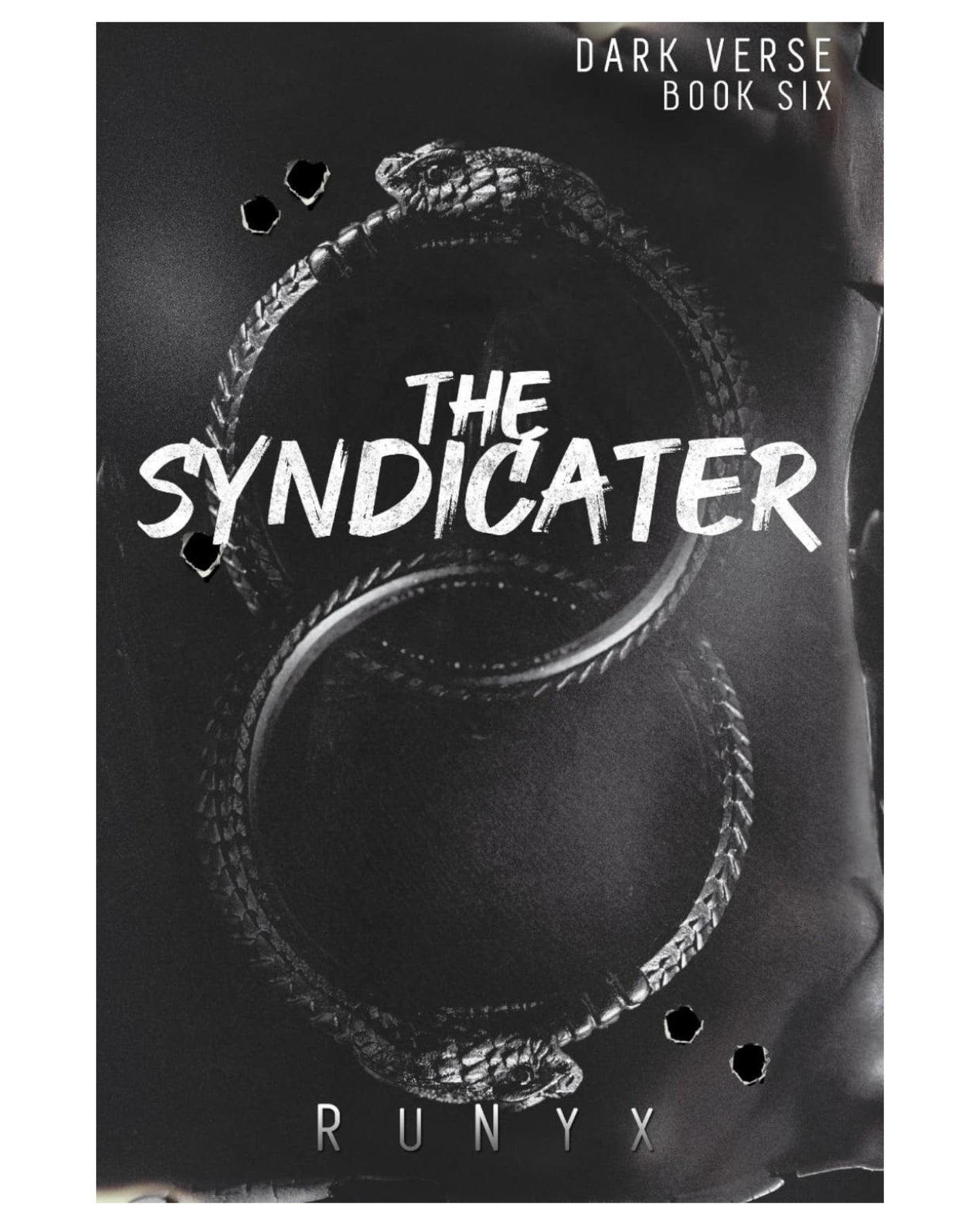 The Syndicater  [Paperback] Original cover