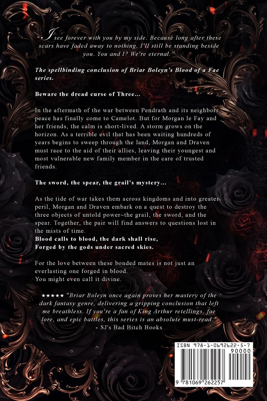 Knight of the Goddess [Paperback]