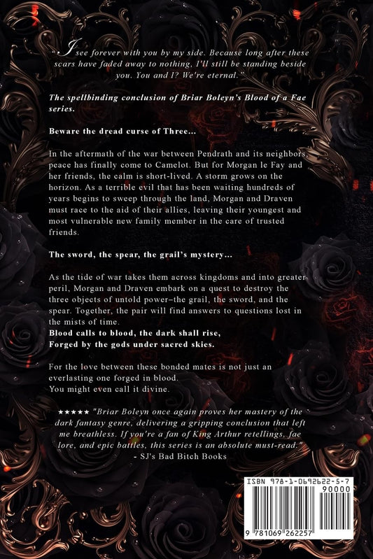 Knight of the Goddess [Paperback]