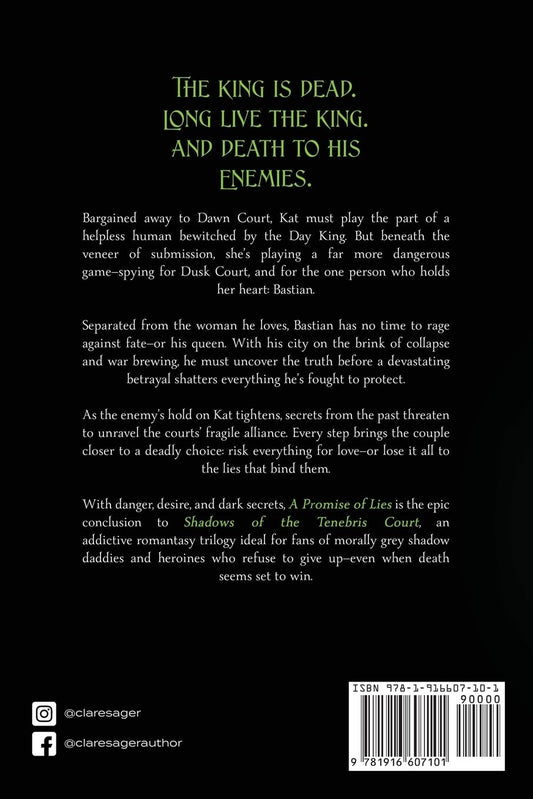 A Promise of Lies [Paperback]