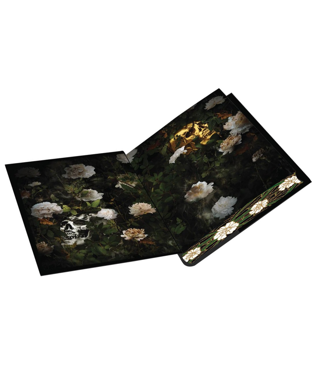 Rain of Shadows and Endings [Imperfect Deluxe Special Edition]