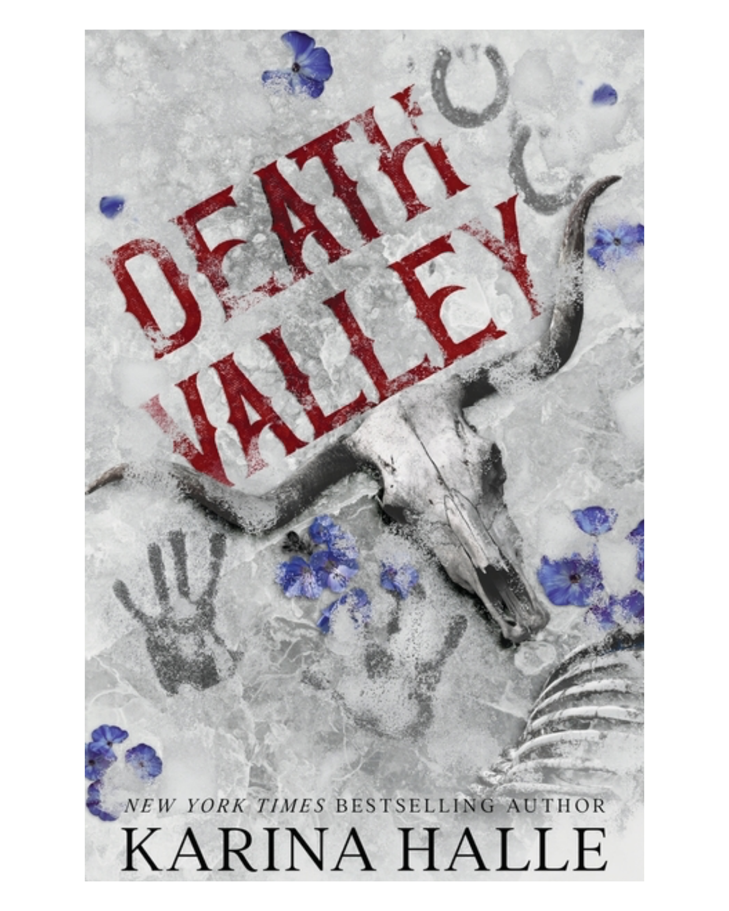 Death Valley [Paperback]