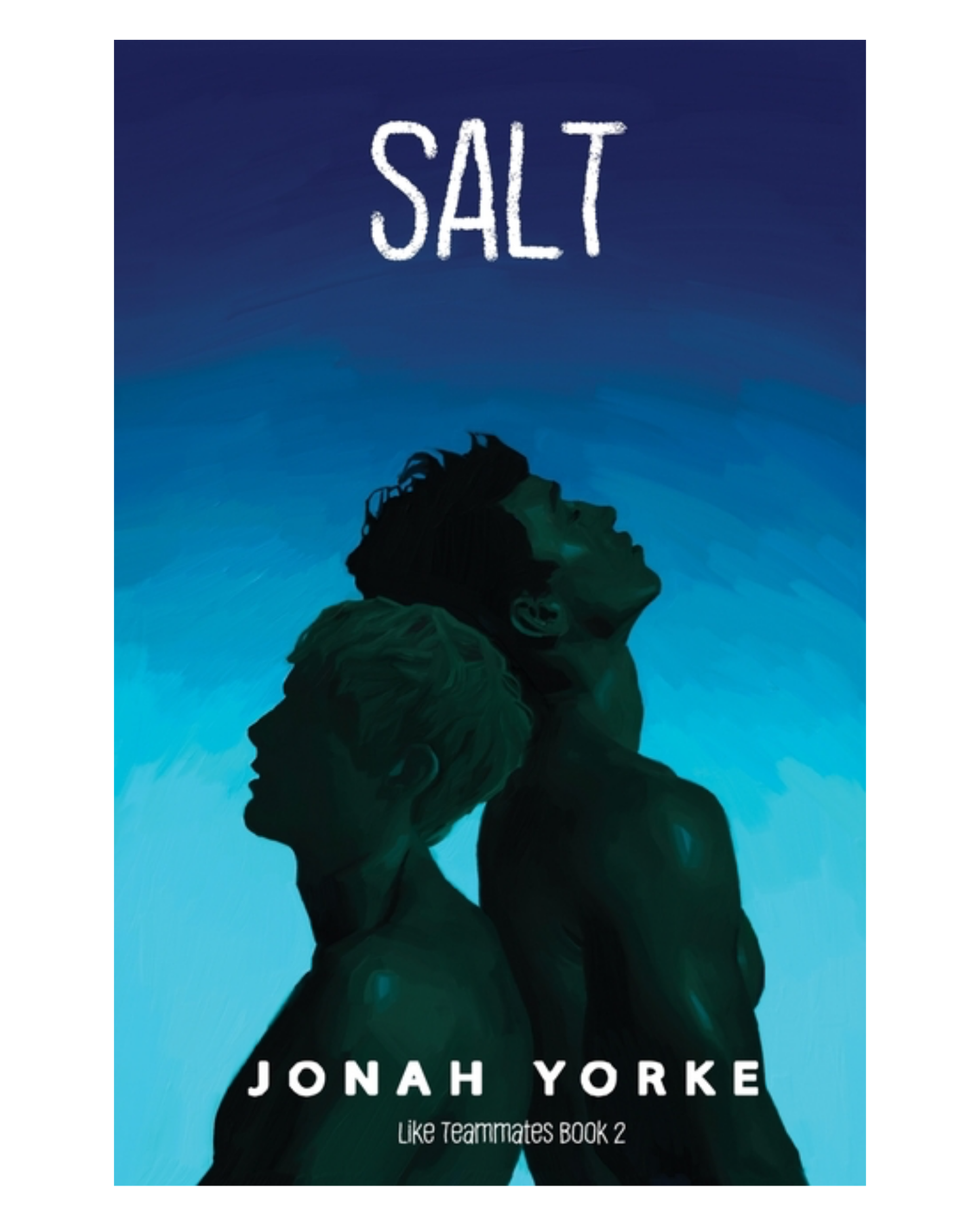 Salt [Paperback]