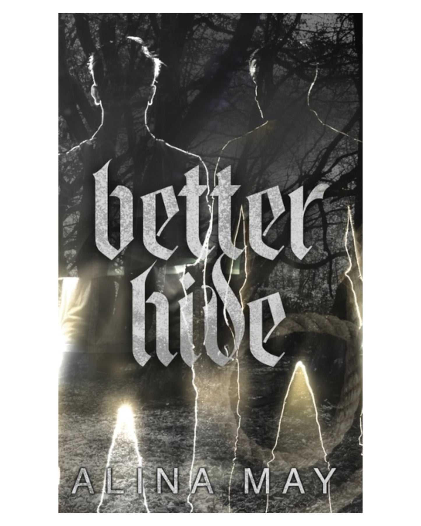 Better Hide [Hardback]