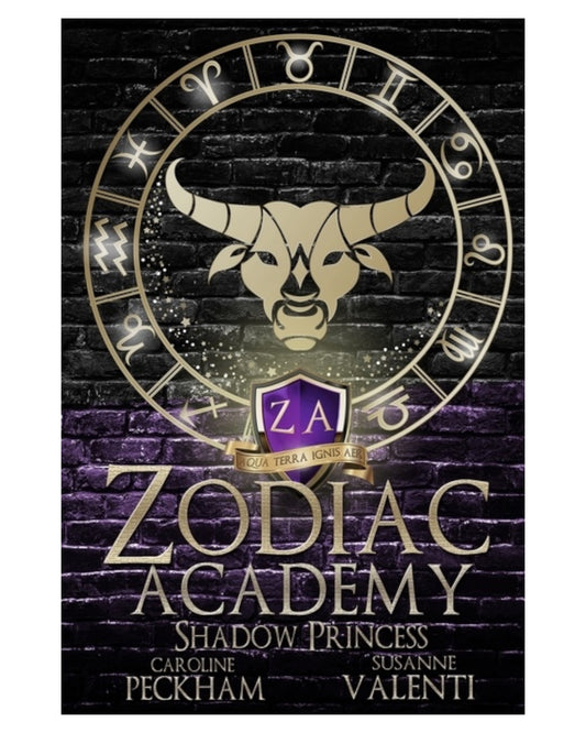 Zodiac Academy 4: Shadow Princess