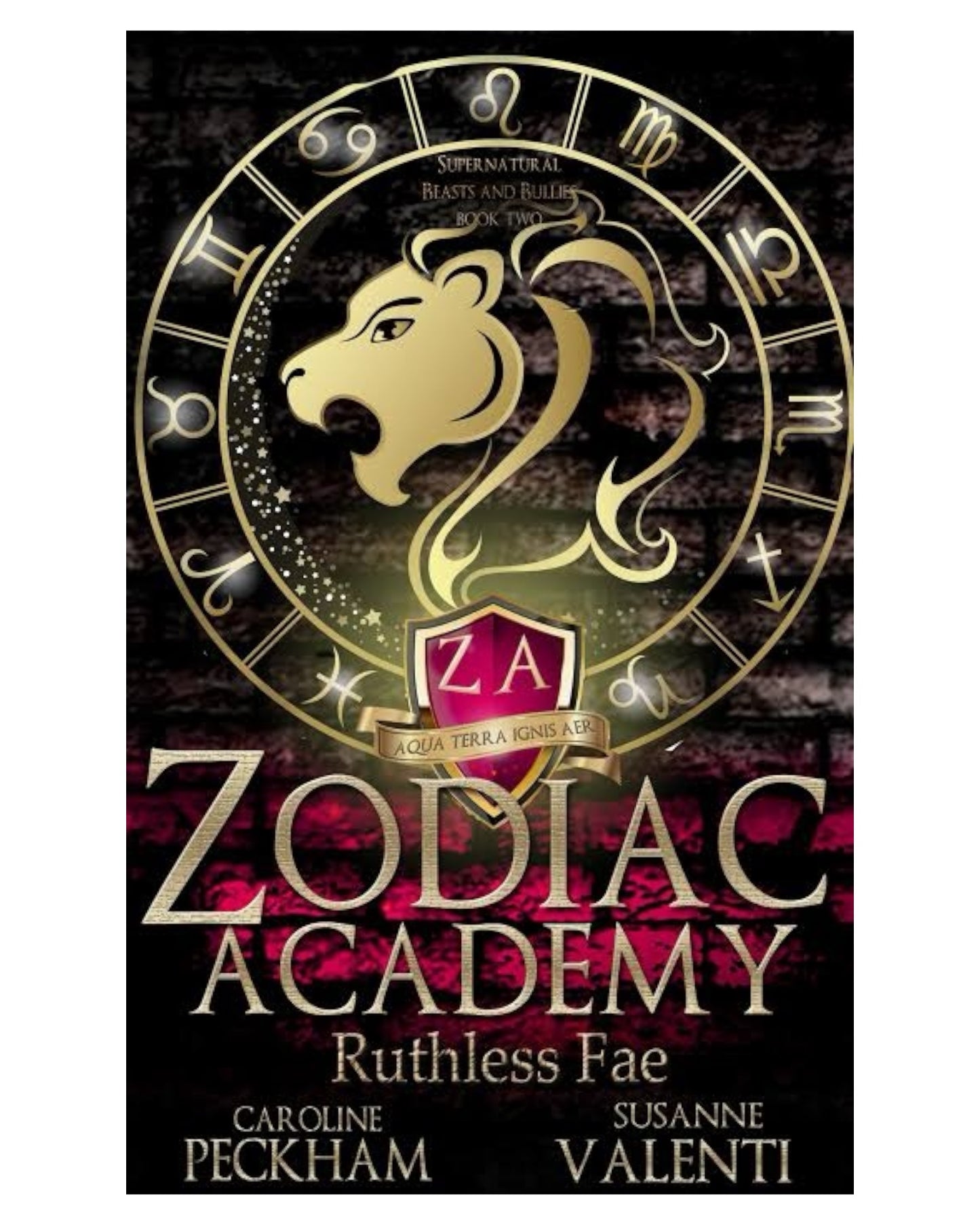 Zodiac Academy 2: Ruthless Fae