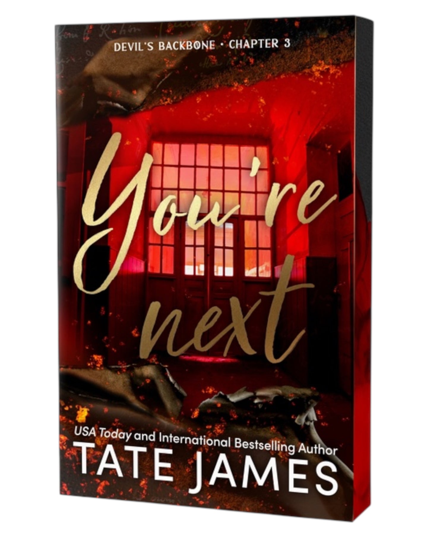 You’re next [Special Edition Paperback]