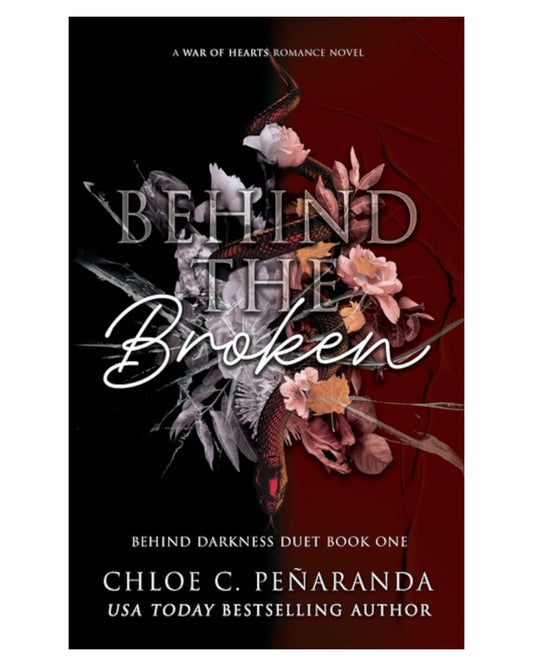 Behind the Broken [Paperback]