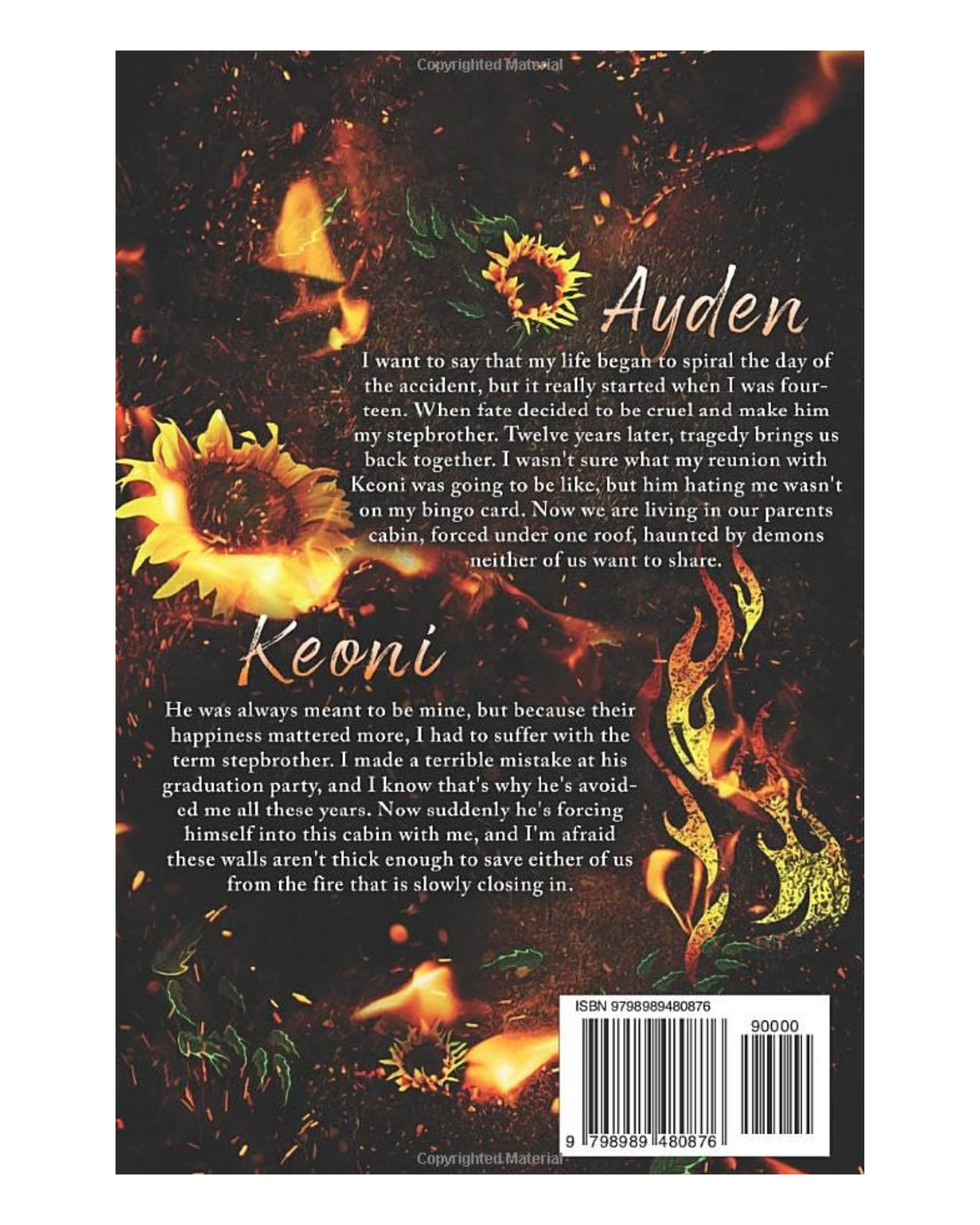 Hollow [Paperback]