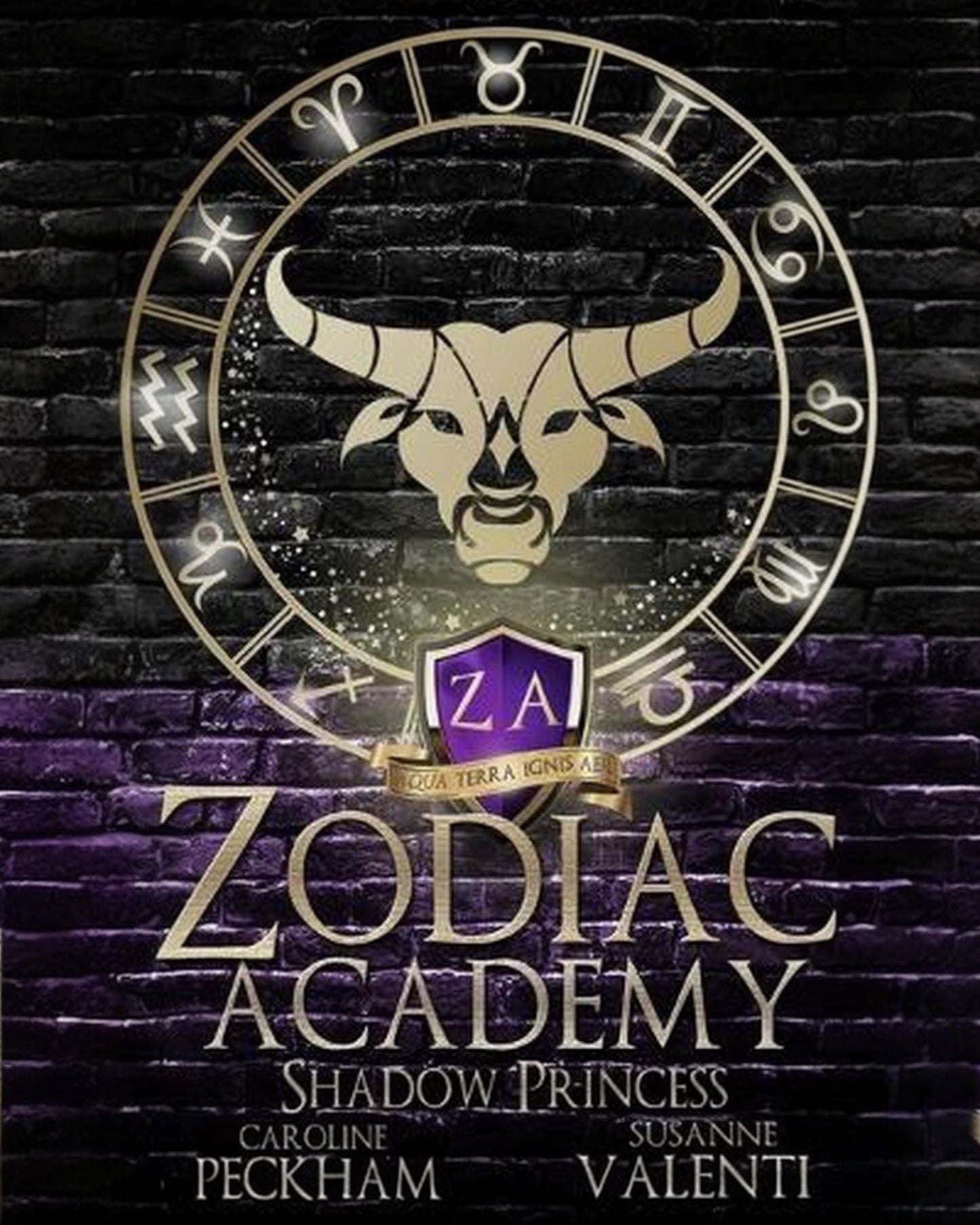 Zodiac Academy 4: Shadow Princess