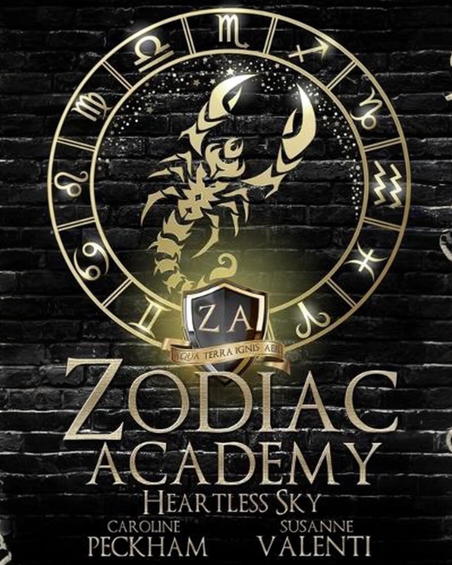 Zodiac Academy 7: Heartless Sky