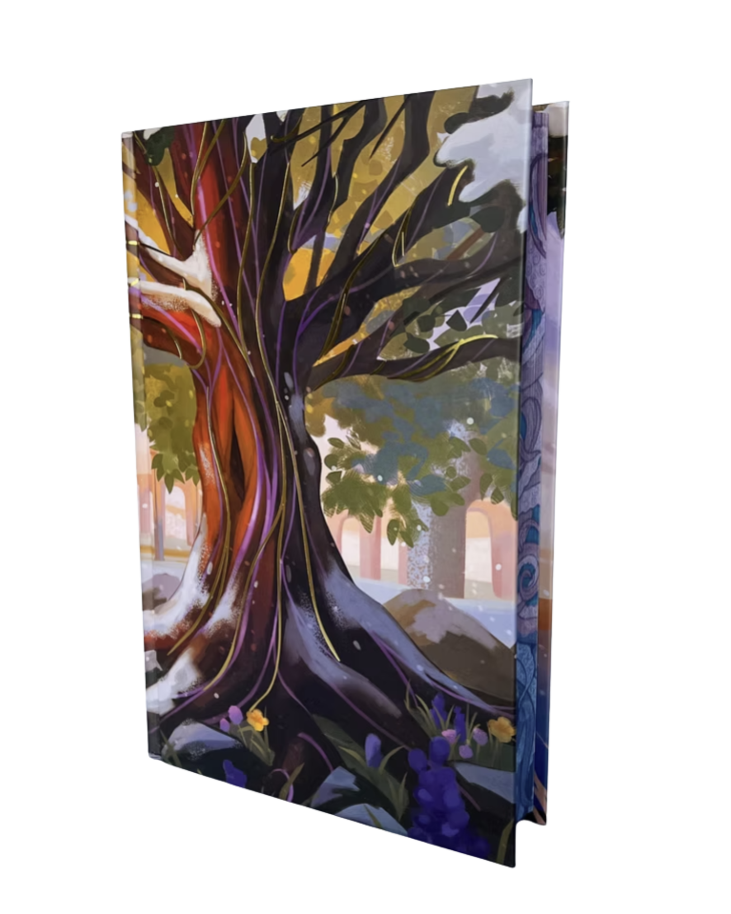 Saltswept [Illumicrate Special Edition Hardback]