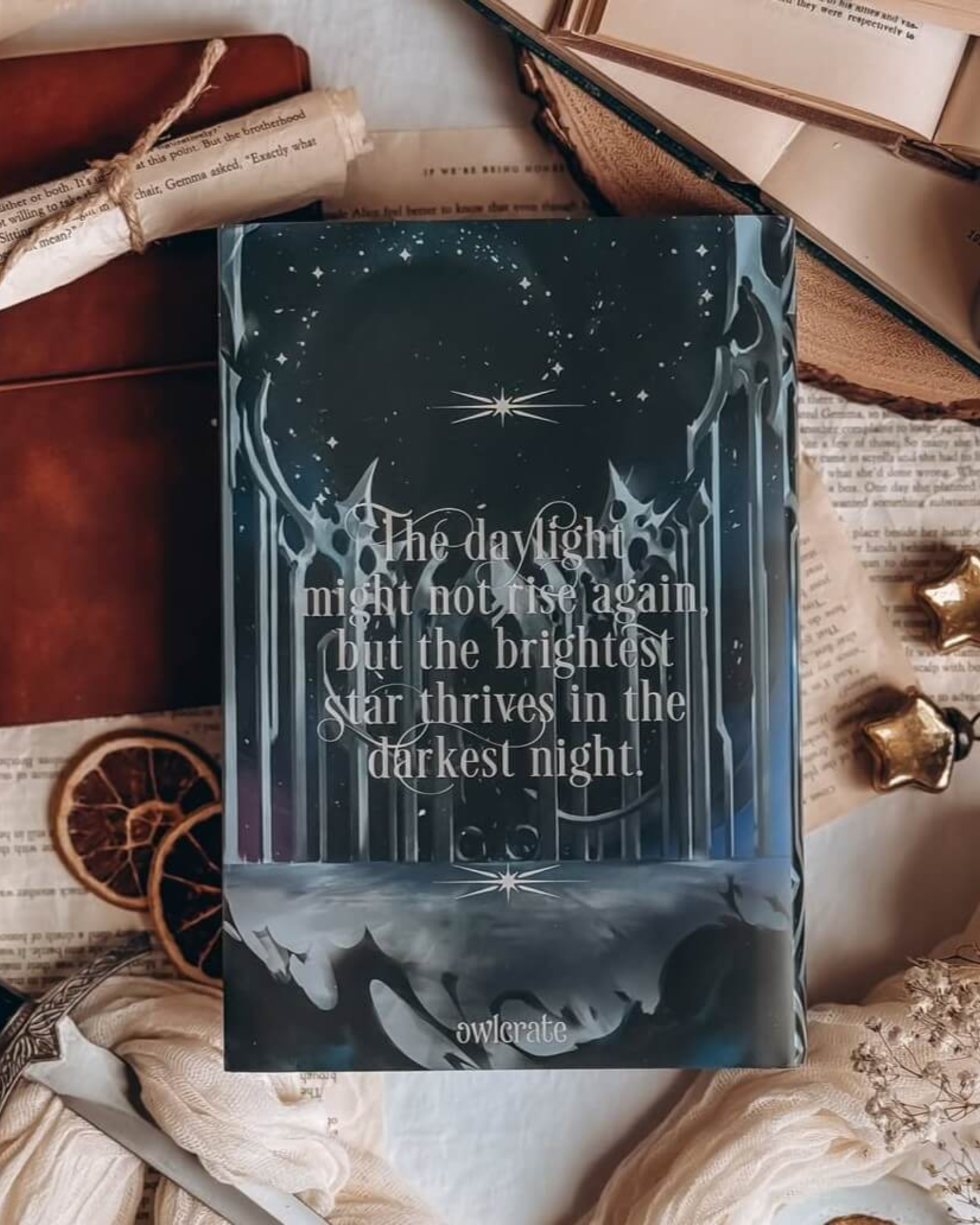 The Night is Defying [Owlcrate Special Edition Hardback]