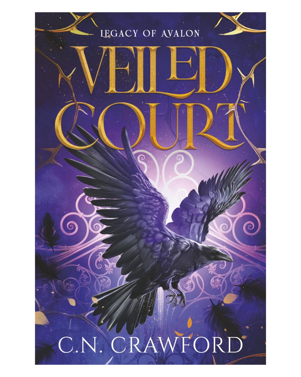 Veiled Court [Paperback]