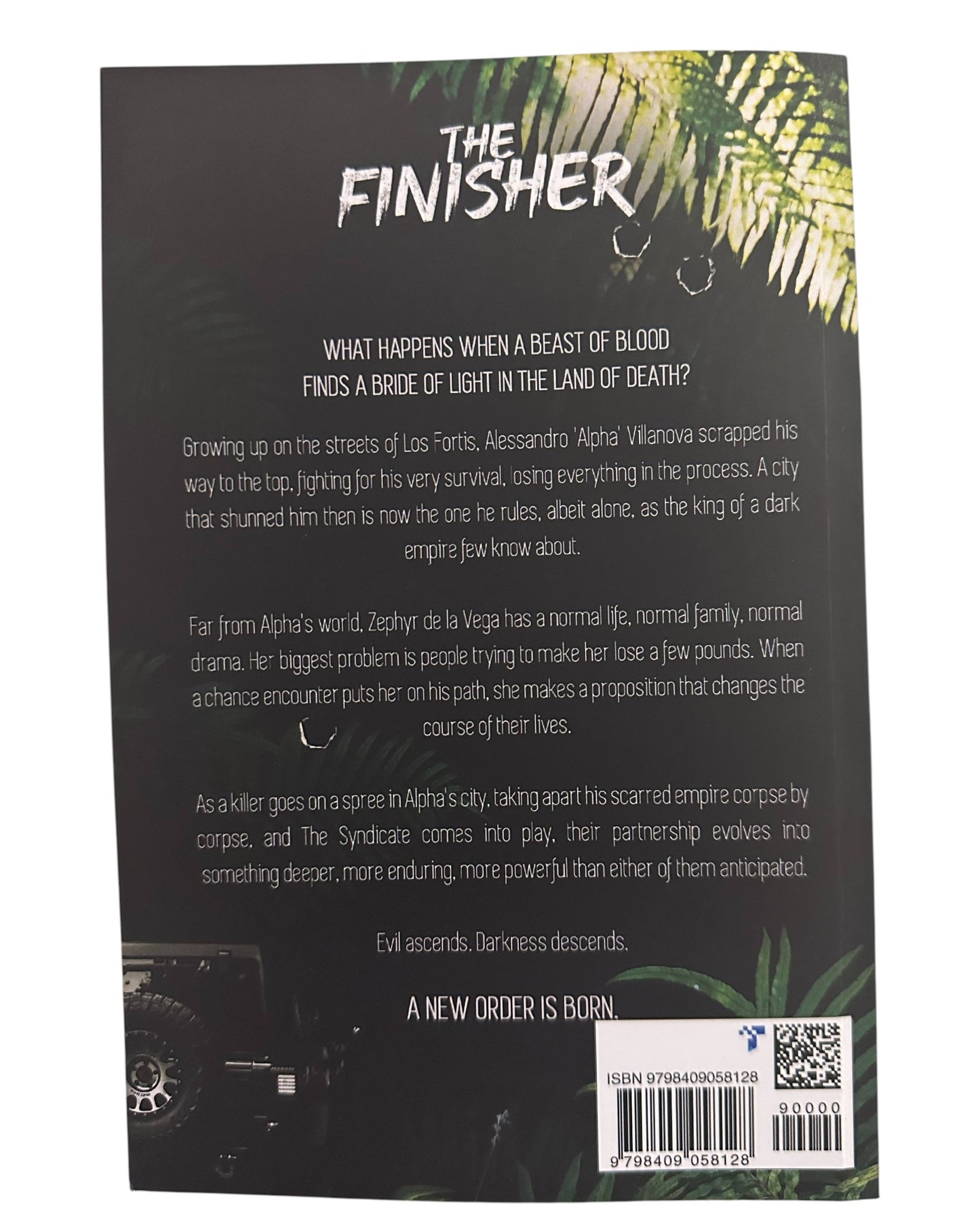 The Finisher  [Paperback] Original cover