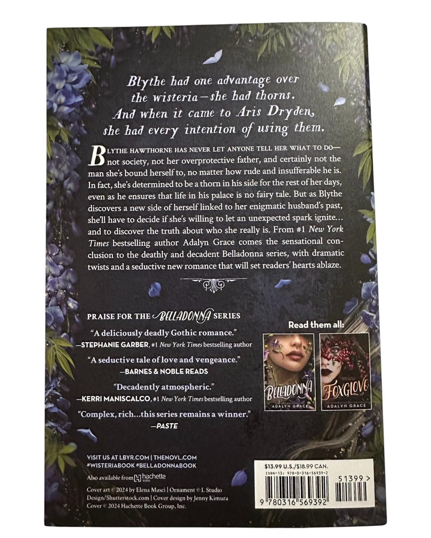 Wisteria [Paperback]
